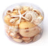 extra large premium cream mixed seashell pack